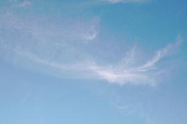 26.04.04: 08 Uhr 02-46: Streifen vom Flugzeug breitet sich aus und erzeugt zirrusartige Wolke