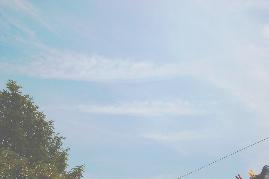 02.06.2004, 12 Uhr 25: Chemtrails in parallelen Streifen kurz vor ihrer Ausnebelung, Chemtrail rechts oben bereits in Wolkenform